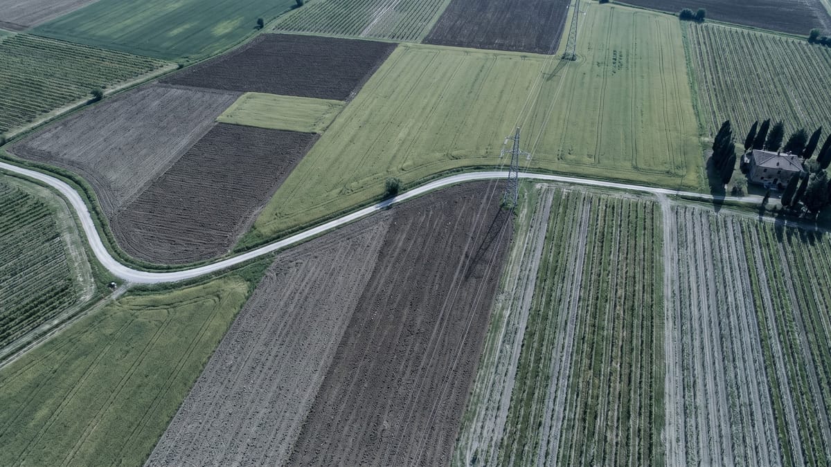 Veduta aerea dall'alto di campi coltivati italiani con strada bianca, filare di tralicci e cascina isolata