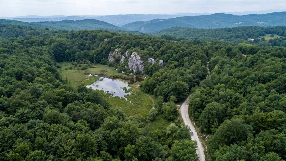 Veduta aerea di un'area naturale protetta italiana con bosco fitto, radura e zona umida