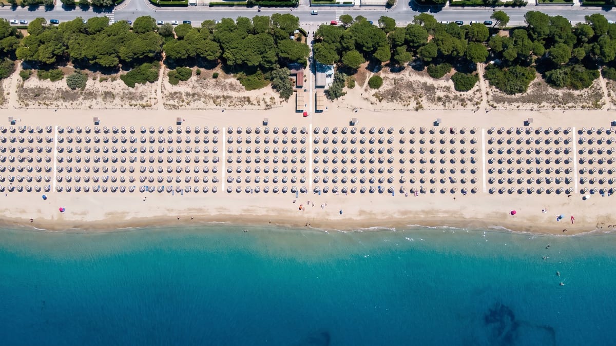 Veduta aerea dall'alto di una spiaggia italiana con file di ombrelloni, battigia, mare e pineta